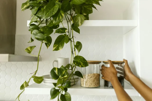 Placing of Glass Jar on Kitchen Shelves